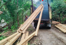 Belasan Kubik Kayu Ilegal Diamankan di Tanbu dan Kotabaru
