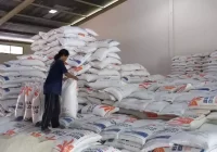 Cadangan Beras Bulog Balikpapan Didominasi Beras Import