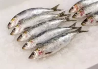 Sarden Juga Bisa Kurangi Risiko Hipertensi