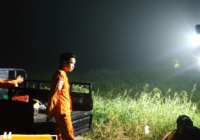 Kabur dari Rumah, Seorang Pria Hilang di Hutan Rawa Amuntai Selatan