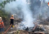 Karhutla di Jingah Habang Capai 8 Hektare, Lahan di Gudang Tengah Juga Membara