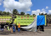 Kronologi Kecelakaan Maut di Houling PT TMA Angsana, Tewaskan Sopir Truk Tambang