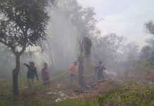 Karhutla di 3 Desa di Kabupaten Banjar Hanguskan 8 Hektare Lahan