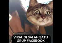 VIRAL! Acil Warung Berpakaian Seksi Duduk di Pangkuan Pengunjung Pria