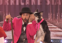 Atraksi Anjing dan Pelatihnya Juara AGT 2023, Putri Ariani Posisi 4