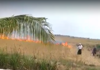 Dua Kali Berturut-turut, Pria Diduga Sengaja Bakar Lahan di Tatah Pemangkih Kertak Hanyar