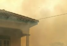 Karhutla di Jalan Jeruk Banjarbaru Hanguskan Sebuah Rumah