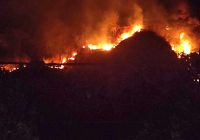 Usai Bromo, Lereng Gunung Jayanti di Pelabuhan Ratu Terbakar