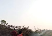 Perlu 2 Jam Padamkan Karhutla di Desa Lungau HSS
