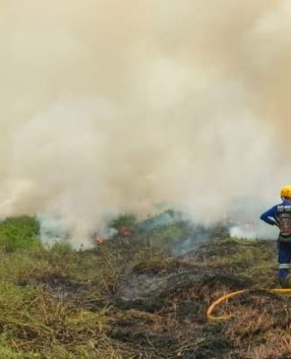 Karhutla di Desa Muning Baru HSS Hanguskan 1 Hektare Lahan