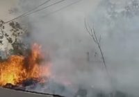 Kebakaran Lahan di Pinggir Jalan, Kabut Asap Selimuti Desa Banyu Irang Bati Bati