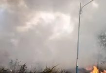 Kebakaran Lahan di Sungai Ulin Banjarbaru Hampir Mengenai Kabel Listrik