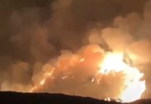 Bukit Teletubbies Bromo Terbakar Gara-Gara Foto Prewedding Bawa Flare