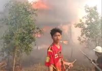 Kebakaran di Sungai Tabuk Hanguskan 29 Hektare Lahan