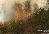 Kebakaran Lahan di Desa Abumbun Jaya Sungai Tabuk Kembali Terjadi