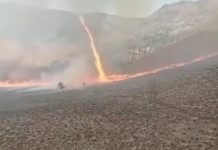 Nasib Calon Pengantin Prewed di Gunung Bromo Pasca Kebakaran Hebat