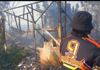 Kronologi 2 Rumah Terbakar  Akibat Karhutla di Desa Padang Daun