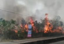 Kebakaran Lahan di Jalan Golf Ujung dan Palm Banjarbaru, Instalasi Listrik Terbakar