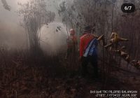 Karhutla 4 Desa di Kabupaten Balangan Hanguskan 100 Hektare Lahan, Api Masih Aktif