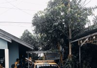 BREAKING NEWS, Penemuan Mayat di Atap Rumah Gegerkan Warga Imam Bonjol
