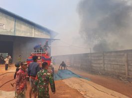 Kebakaran Lahan di Gambut Hampir Merembet ke Pabrik Penggilingan Padi