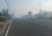Waspada Dampak Polusi Udara bagi Wajah dan Pahami Cara Mencegahnya