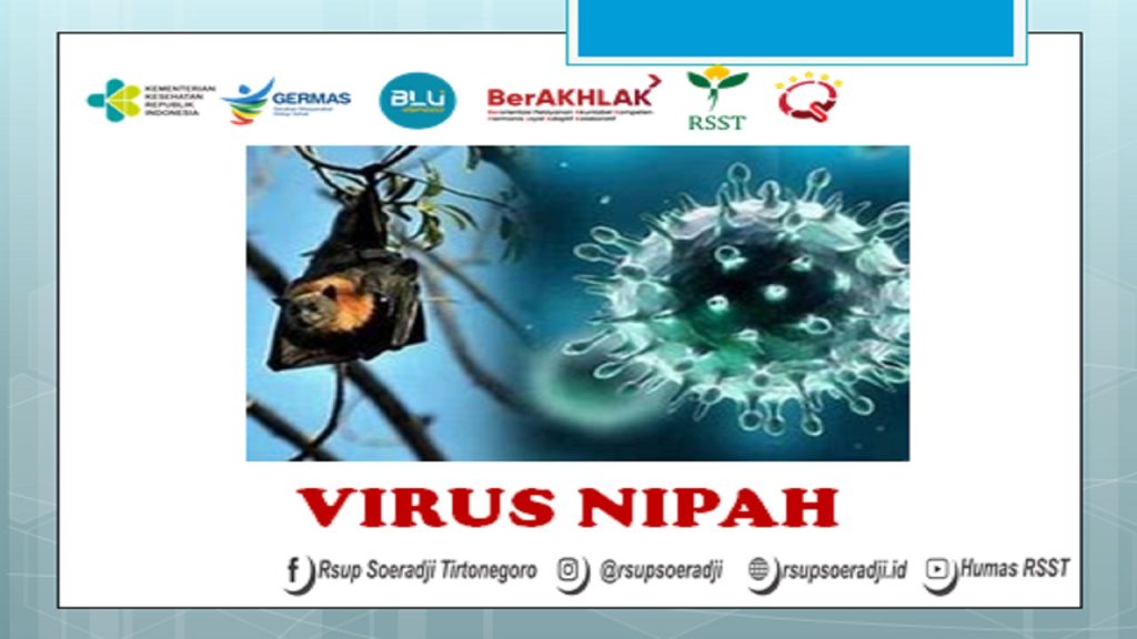 20092023_virus nipah