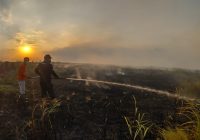 Karhutla di Desa Tungkaran Hanguskan Lahan 10 Hektare