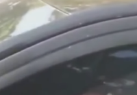 Viral! Pasangan Diduga Mesum Oral Dalam Mobil Saat Berhenti di Lampu Merah