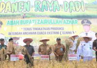 Bupati Zairullah Azhar Beri Bantuan Alat Panen untuk Petani di Desa Salimuran