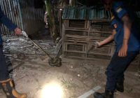 Piton Mangsa Ayam Milik Warga Komplek Permata Hijau 2 Gambut