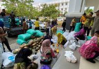 Gubernur Bagikan Terong dan Labu Gratis untuk Masyarakat serta Karyawan Pemprov Kalsel