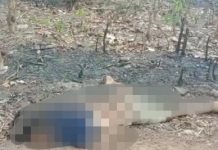 Mayat Pria di Jalan Desa Asam-Asam Jorong Tanah Laut, Diduga Idap Penyakit Ini