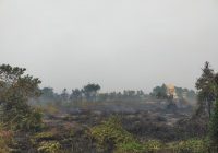Tiga Hari Diguyur Hujan, Hotspot di Kabupaten Banjar Turun Drastis