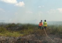 Karhutla di 3 Desa di Kabupaten Banjar Ancam Rumah Warga