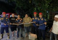 Ular Piton 3 Meter Hampir Memangsa Ternaknya, M. Taufik Lapor DPKP Banjar