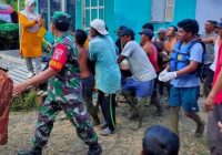 Heboh Warga Karang Payau Kotabaru Diterkam Buaya