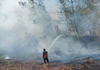 15 Hektare Lahan di Desa Mangkulawat Mataraman Terbakar