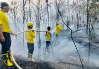 Kebun Karet di Desa Kiram Kabupaten Banjar Terbakar