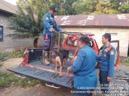 Anjing Liar Meresahkan Warga Mandiangin Timur Dievakuasi Petugas DPKP Banjar