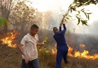Karhutla Ancam 3 Sekolah di Kabupaten Banjar, Santri Turun Padamkan Api