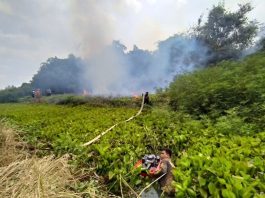 Tim Gabungan Harus Sebrangi Sungai Padamkan Karhutla di Desa Melayu Ilir