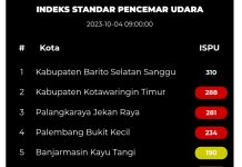 Udara Banjarmasin Tidak Sehat, Palangka Raya Masuk Kategori Berbahaya