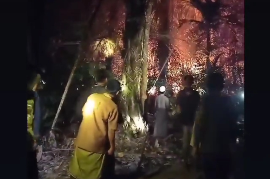 08102023_kebakaran lahan
