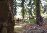 1 Anggota Polisi Jadi Tersangka Tertembaknya Warga Saat Demo di Perusahaan Sawit di Seruyan Kalteng