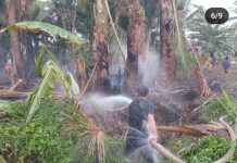 Kebakaran Lahan di Tanjung Pagar Banjarmasin