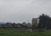 Eceng Gondok Penuhi Sungai Martapura di Desa Sungai Bakung