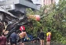 Pohon Roboh Menimpa Rumah di Sungai Mesa Banjarmasin