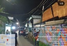 Pohon Trambesi Tumbang di Jalan Simpang Kuripan Banjarmasin Kenai Tiang Listrik