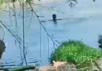 Orang Diduga Tenggelam di Desa Teluk Mesjid HSU